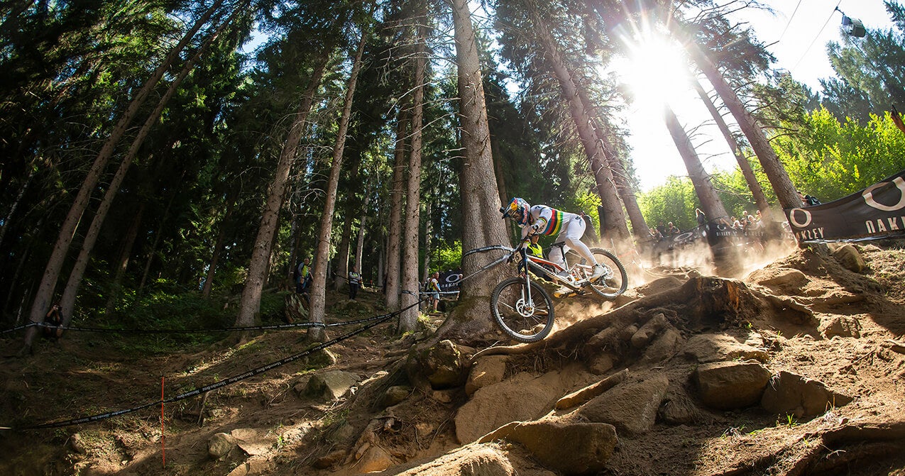 Downhill dh hotsell